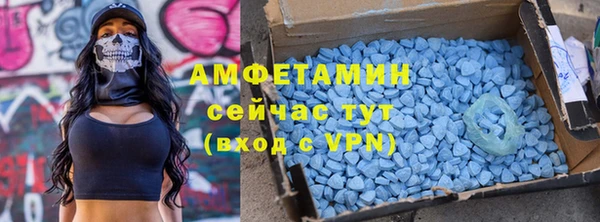 ECSTASY Алзамай